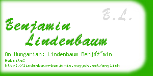 benjamin lindenbaum business card